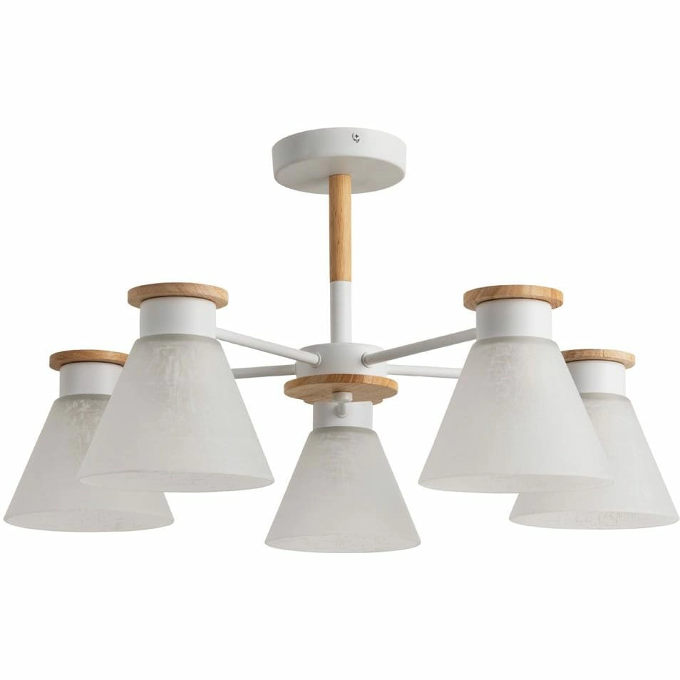 Потолочная люстра Arte Lamp Tyler, A1031PL-5WH