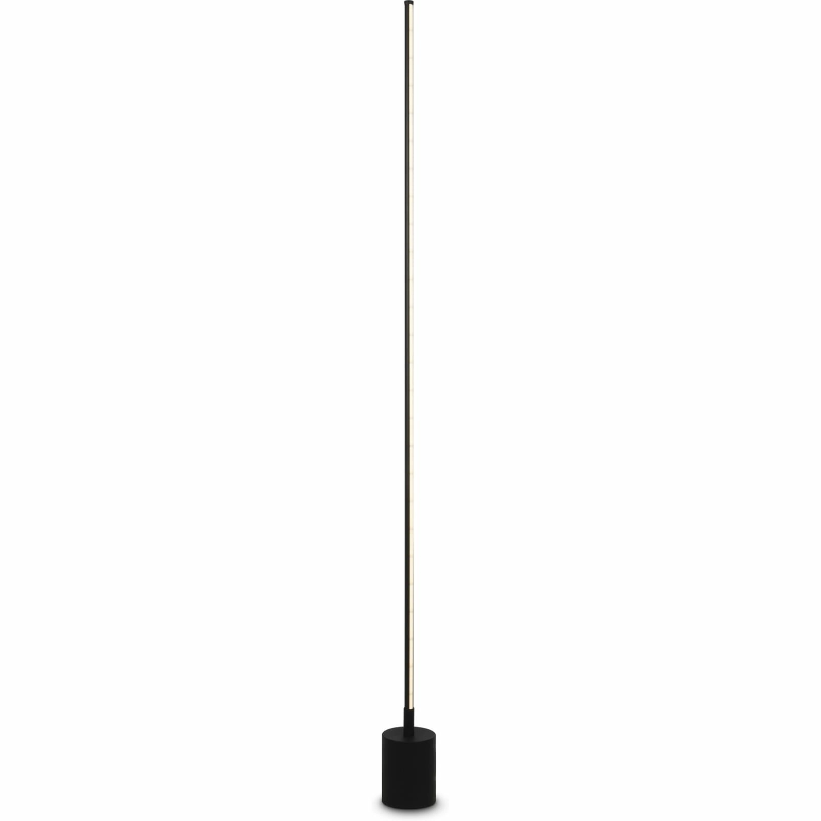 Напольный светильник (торшер) Maytoni MOD147FL-L20BK1