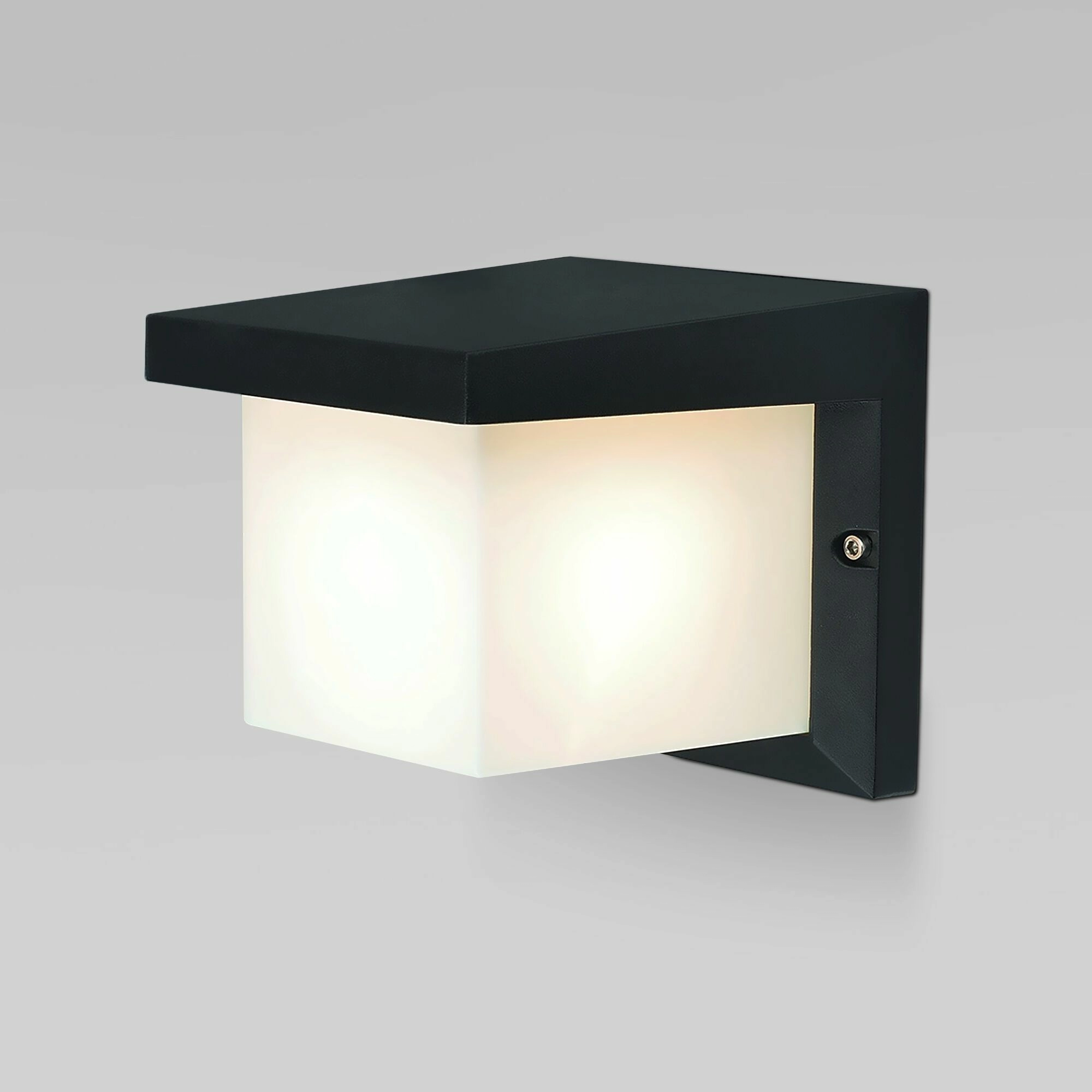 Накладной светильник Elektrostandard Shelter a038435