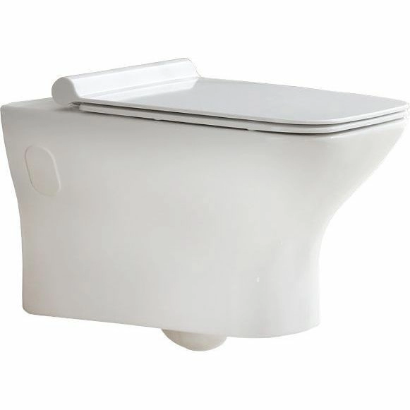 Унитаз подвесной безободковый Belbagno Romano, BB248CHR-SM