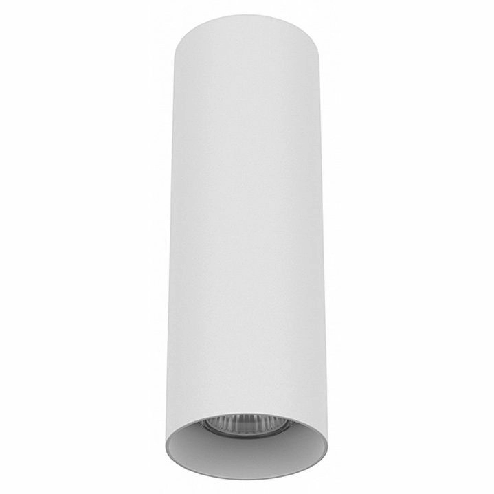 Накладной светильник Lightstar Rullo 216496