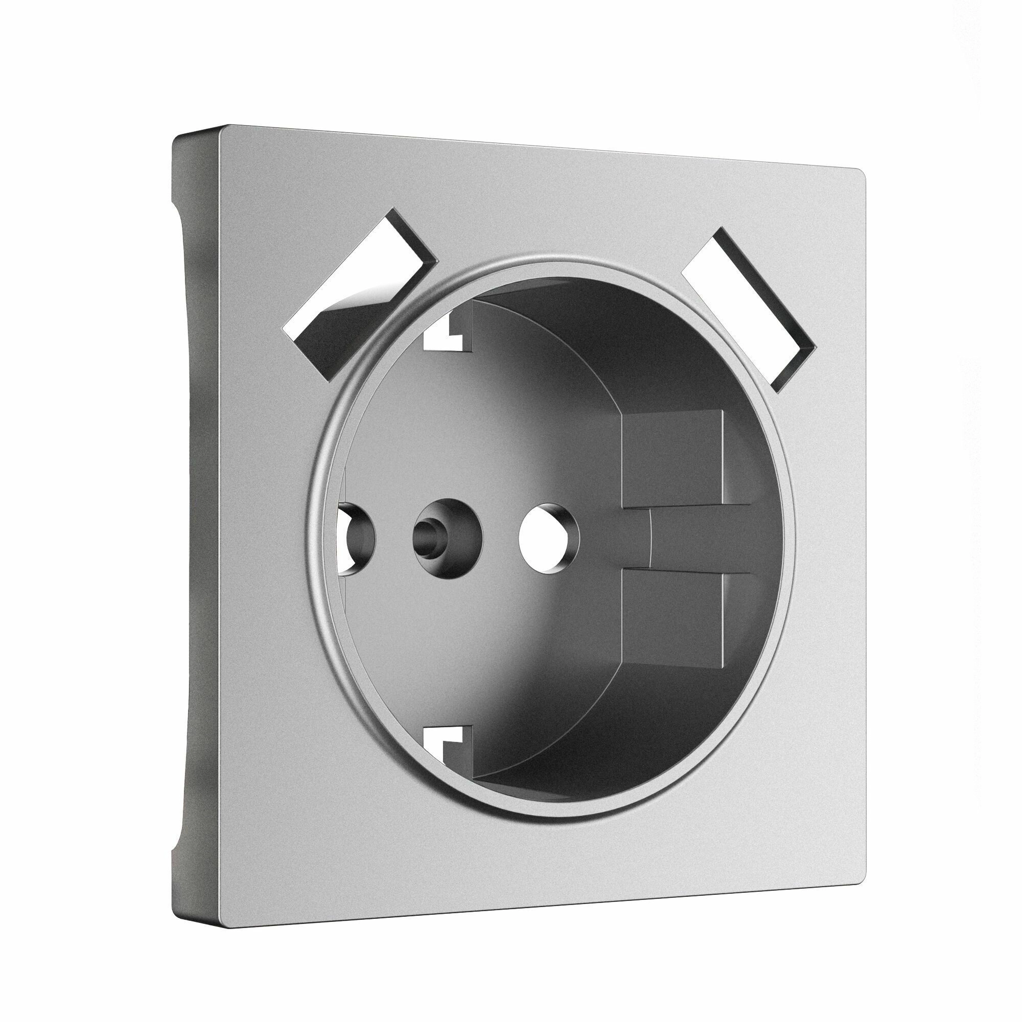 Накладка для розетки USB Werkel W1179565 (серебряный матовый