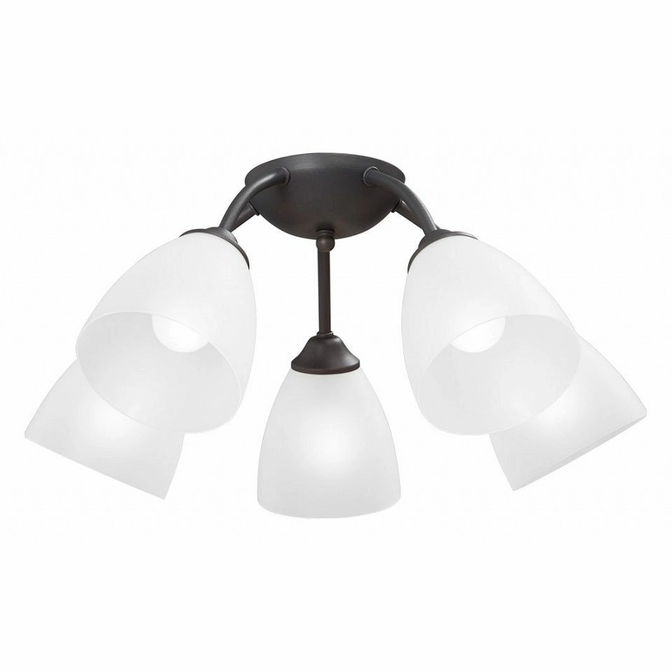 Потолочная люстра Vitaluce V3184 V3737-2/5PL