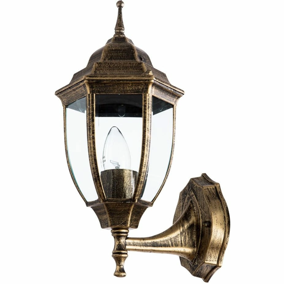 Уличный настенный светильник Arte Lamp Pegasus, A3151AL-1BN