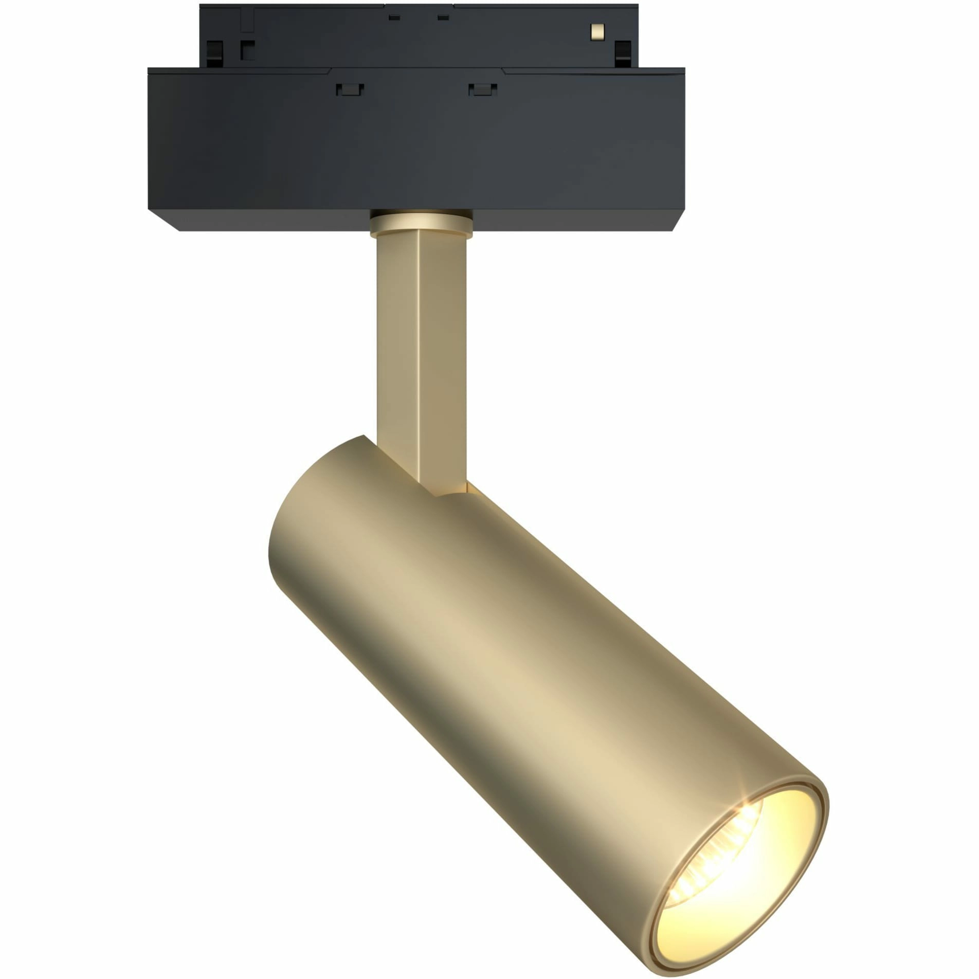 Трековый светильник Technical TR019-2-10W3K-MG