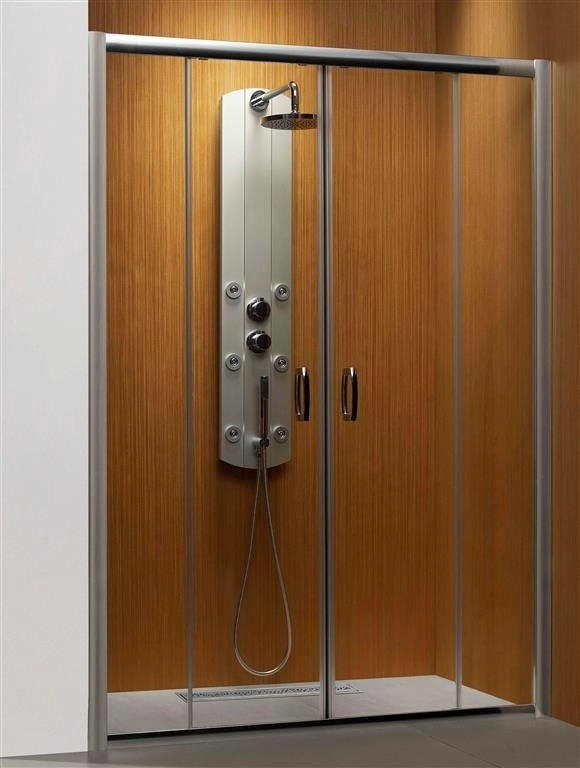 Двери в нишу Radaway Premium Plus DWD