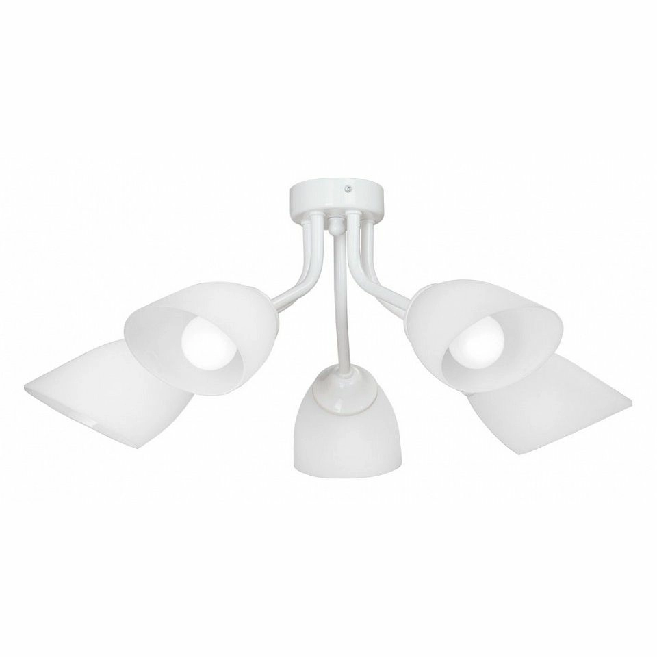 Потолочная люстра Vitaluce V3184 V3184/5PL