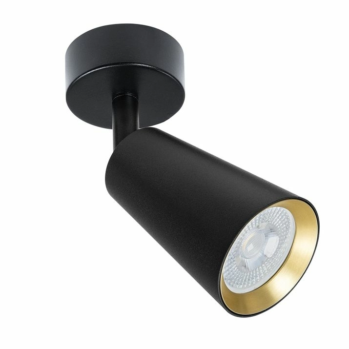 Спот Arte Lamp Cintura, A2353PL-1BK
