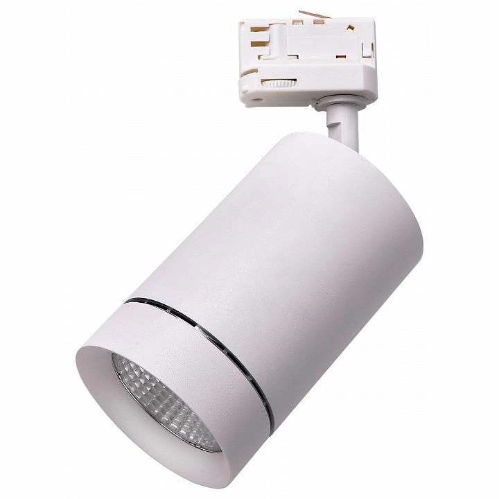 Светильник на штанге Lightstar Canno 303564