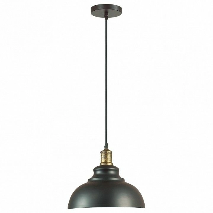 Подвесной светильник Lumion Dario 3675/1