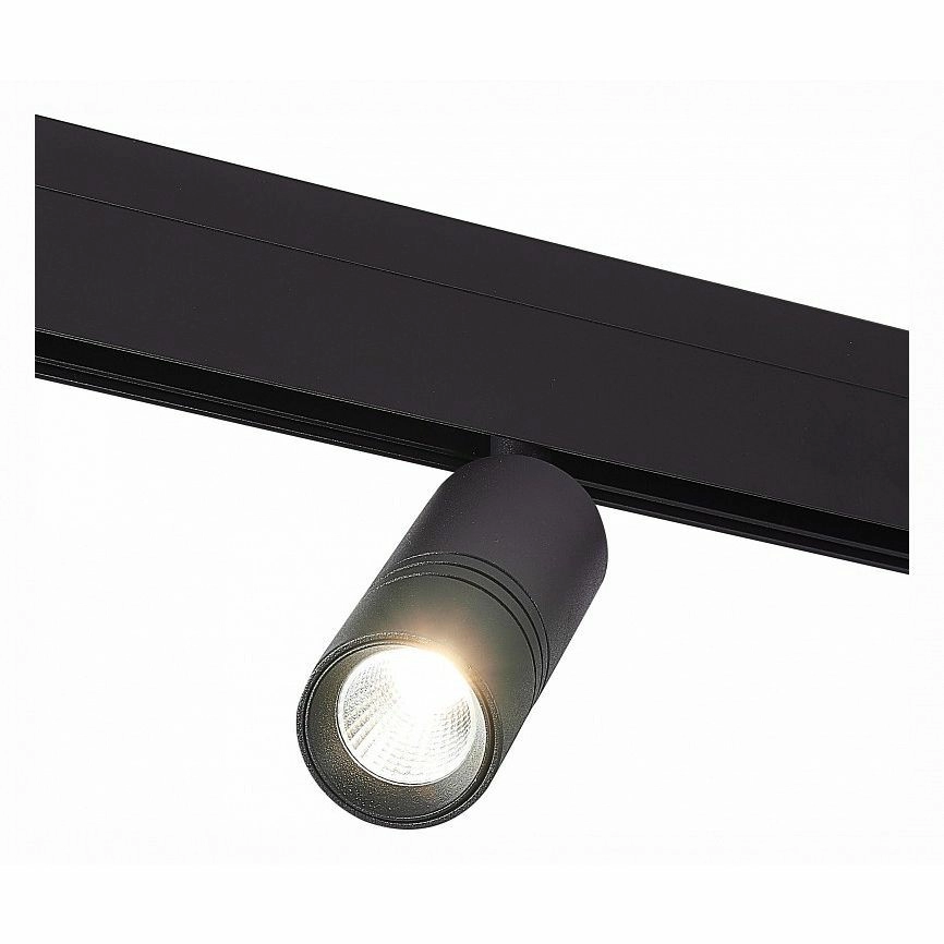 Светильник на штанге ST-Luce Lemmi ST365.446.12