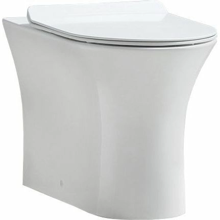 Унитаз приставной безободковый Belbagno Ancona, BB1224CBR-P