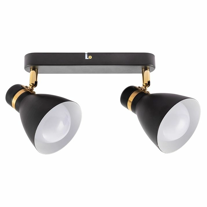 Спот Arte Lamp Fafnir, A5047PL-2BK