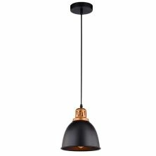 Подвесной светильник Arte Lamp Eurica, A4245SP-1BK