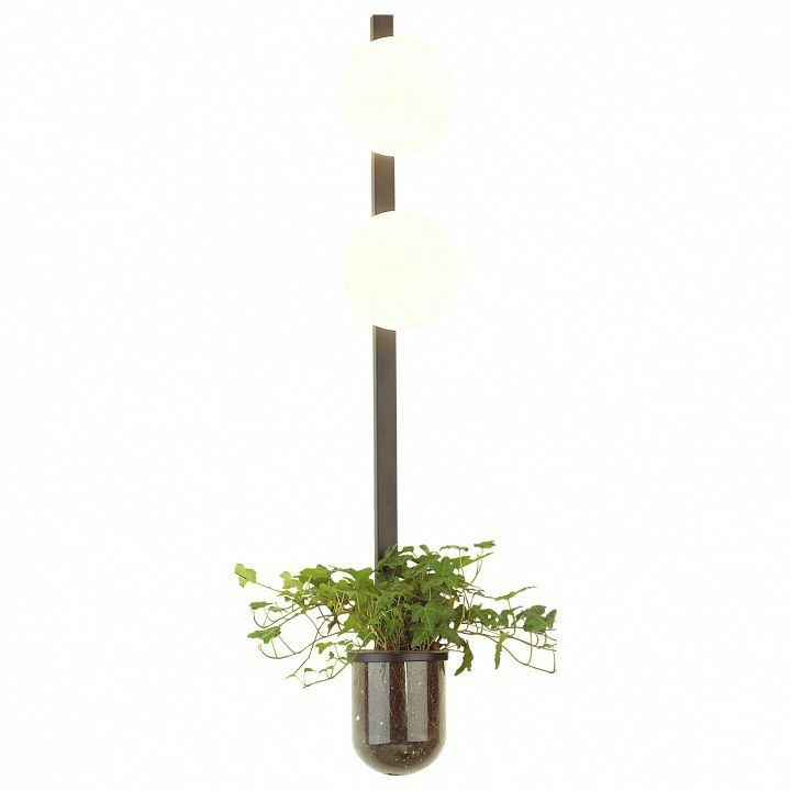 Бра Odeon Light Flower 4681/2WA