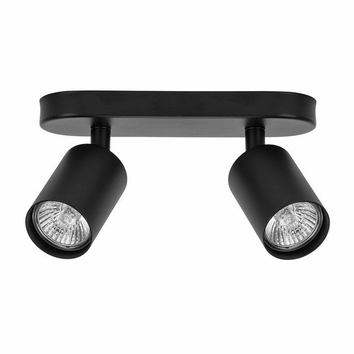 Спот Arte Lamp Aquarius, A3226PL-2BK
