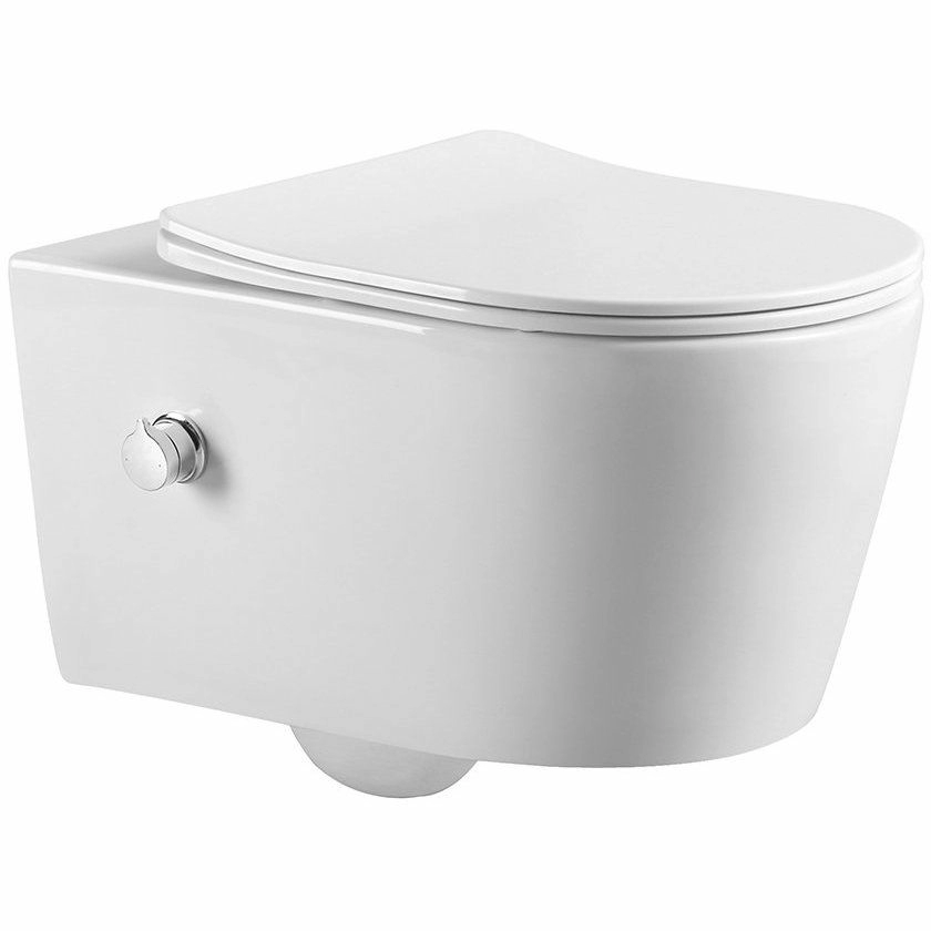 Подвесной унитаз с функцией биде Amore di Mare Temo Bidet, P322-X