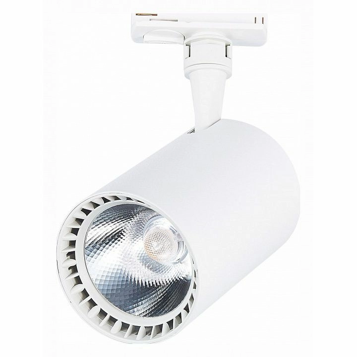 Светильник на штанге ST-Luce Cami ST351.536.30.36