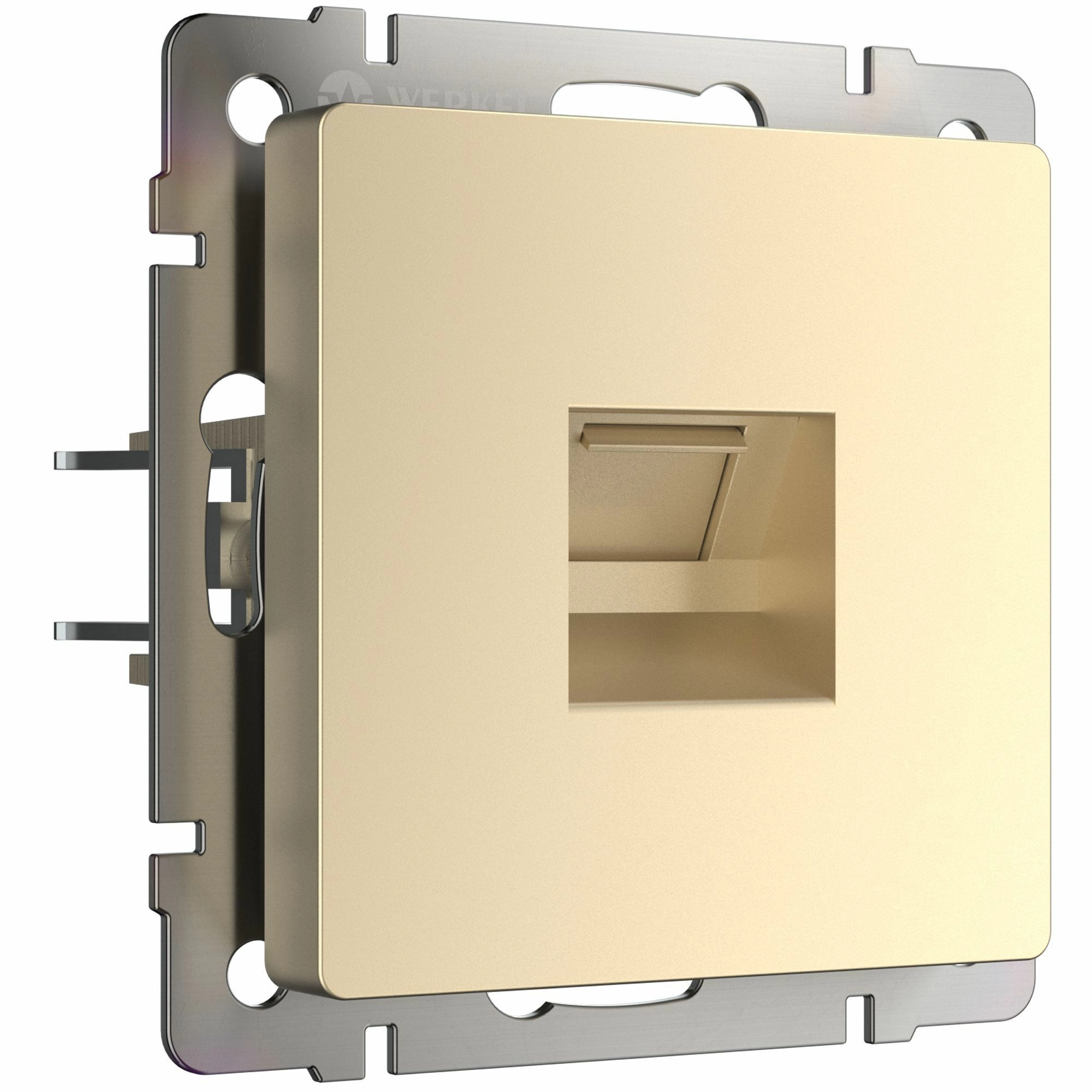 Розетка Ethernet RJ-45 Werkel W1181011 (шампань)