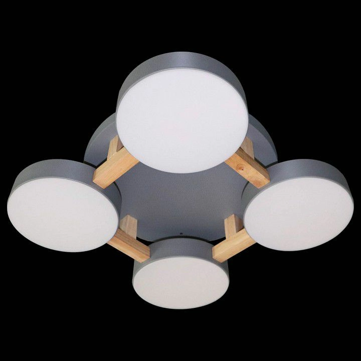 Накладной светильник Natali Kovaltseva 2132 LED LAMPS 81326