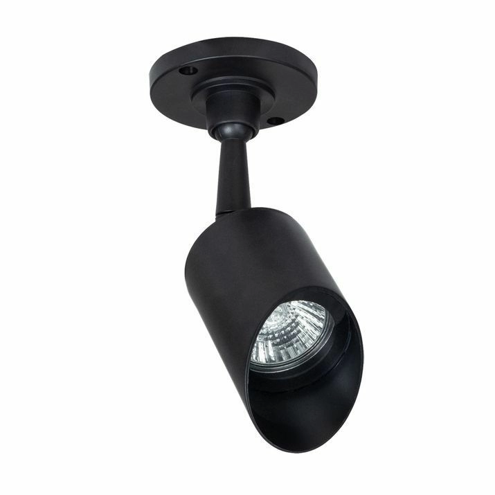 Уличный потолочный светильник Arte Lamp Elsie, A1022AL-1BK