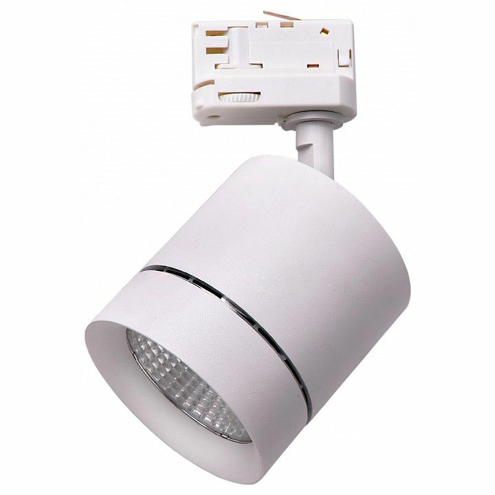 Светильник на штанге Lightstar Canno 301564