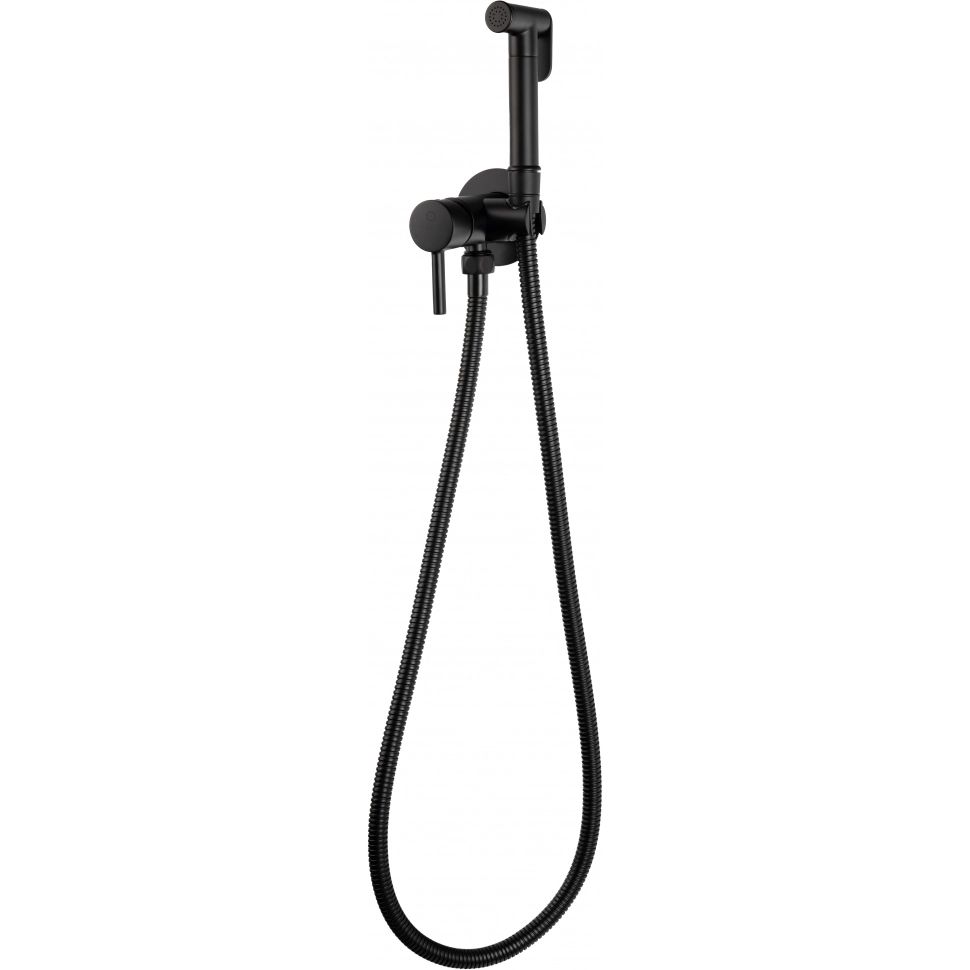 Смеситель встраиваемый с гигиеническим душем Filarete Roun FL100BL