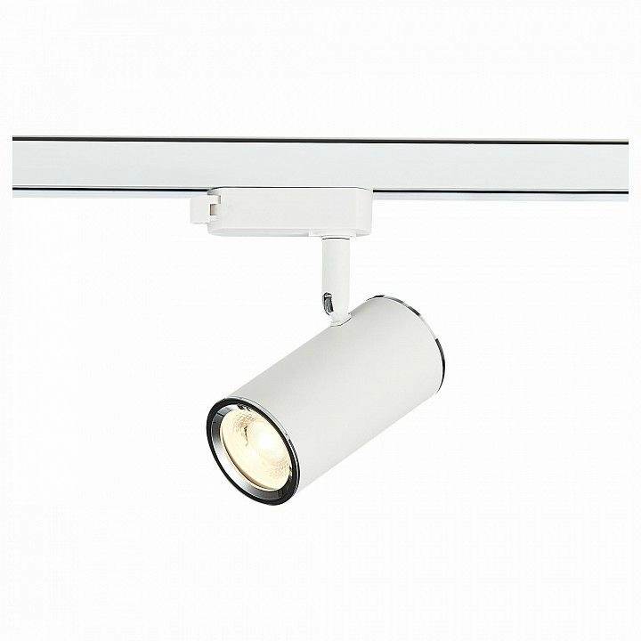 Светильник на штанге ST-Luce Cromi ST301.506.01