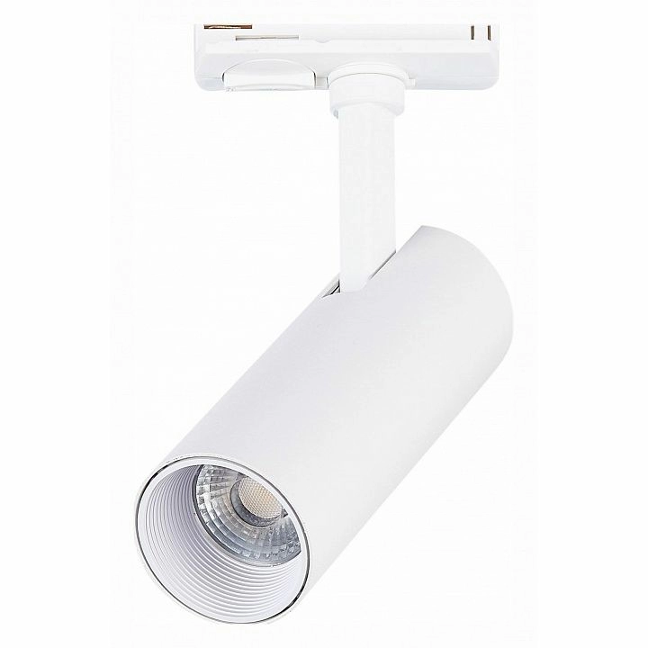 Светильник на штанге ST-Luce Mono ST350.546.10.36