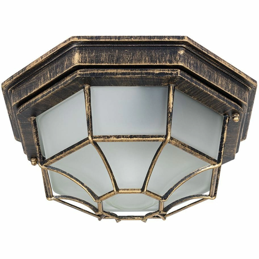 Уличный потолочный светильник Arte Lamp Pegasus, A3121PF-1BN