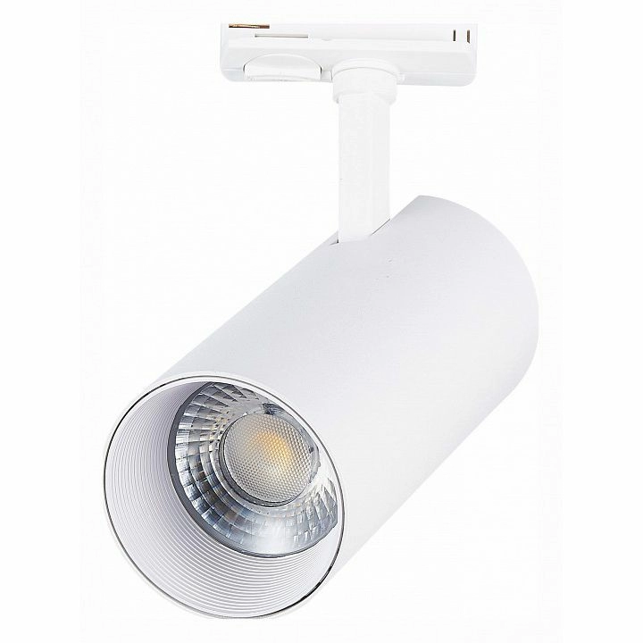 Светильник на штанге ST-Luce Mono ST350.546.30.36