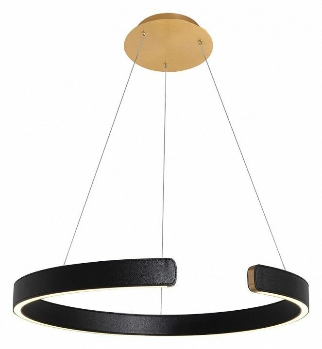 Подвесной светильник Loft it Ring 10025/600 Black