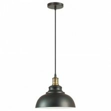 Подвесной светильник Lumion Dario 3675/1