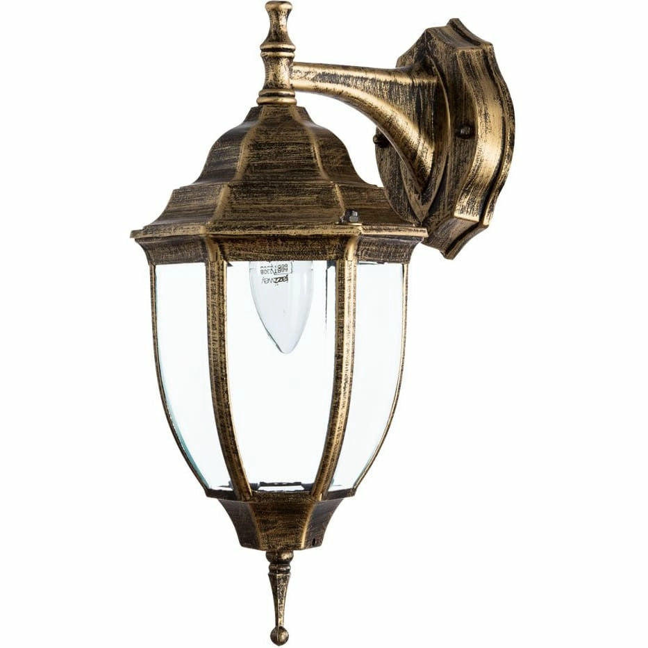 Уличный настенный светильник Arte Lamp Pegasus, A3152AL-1BN