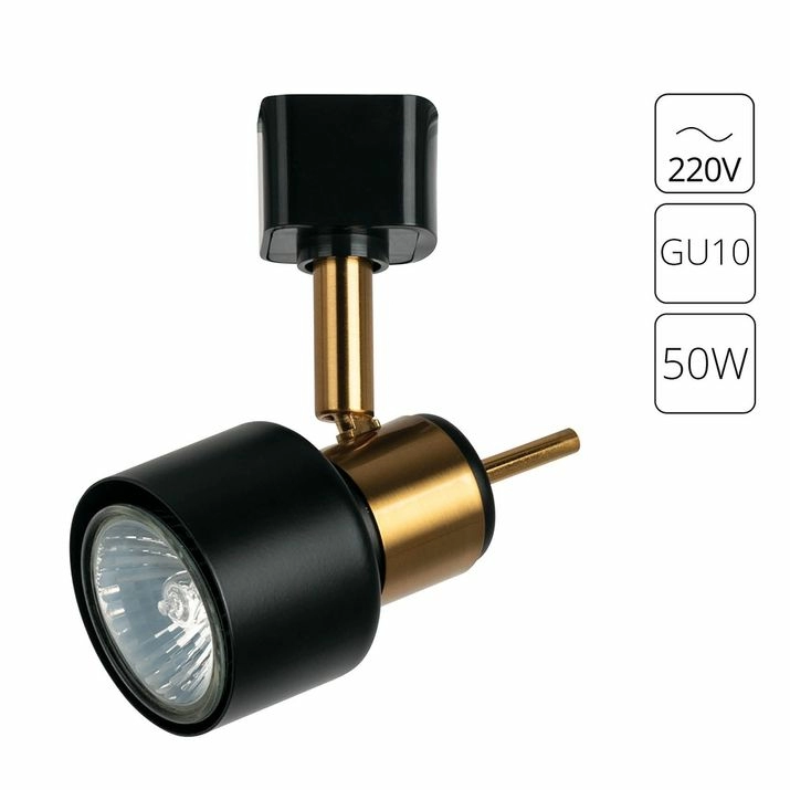 Трековый светильник Arte Lamp Almach, A1906PL-1BK