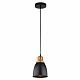 Подвесной светильник Arte Lamp Eurica, A4248SP-1BK