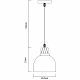 Подвесной светильник Arte Lamp Eurica, A4245SP-1BK