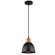 Подвесной светильник Arte Lamp Eurica, A4245SP-1BK