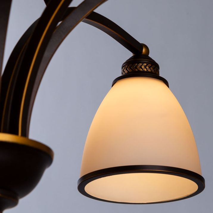 Подвесная люстра Arte Lamp Bonito, A9518LM-8BA