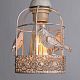 Подвесная люстра Arte Lamp Cincia, A5090LM-5WG