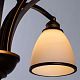 Подвесная люстра Arte Lamp Bonito, A9518LM-8BA